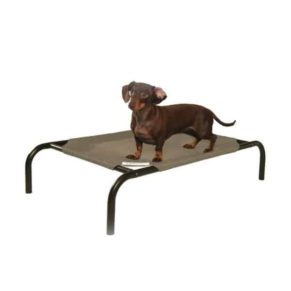coolaroo steel-framed elevated dog bed