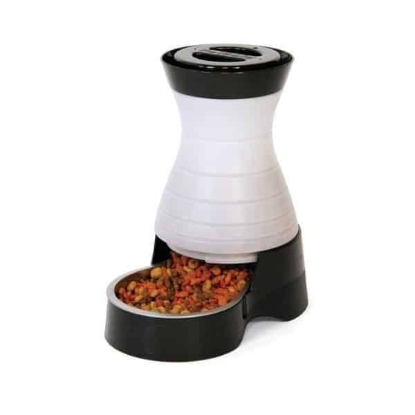 Healthy Pet Food Station Automatic Feeder