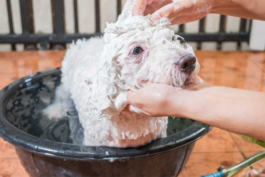 Bath time