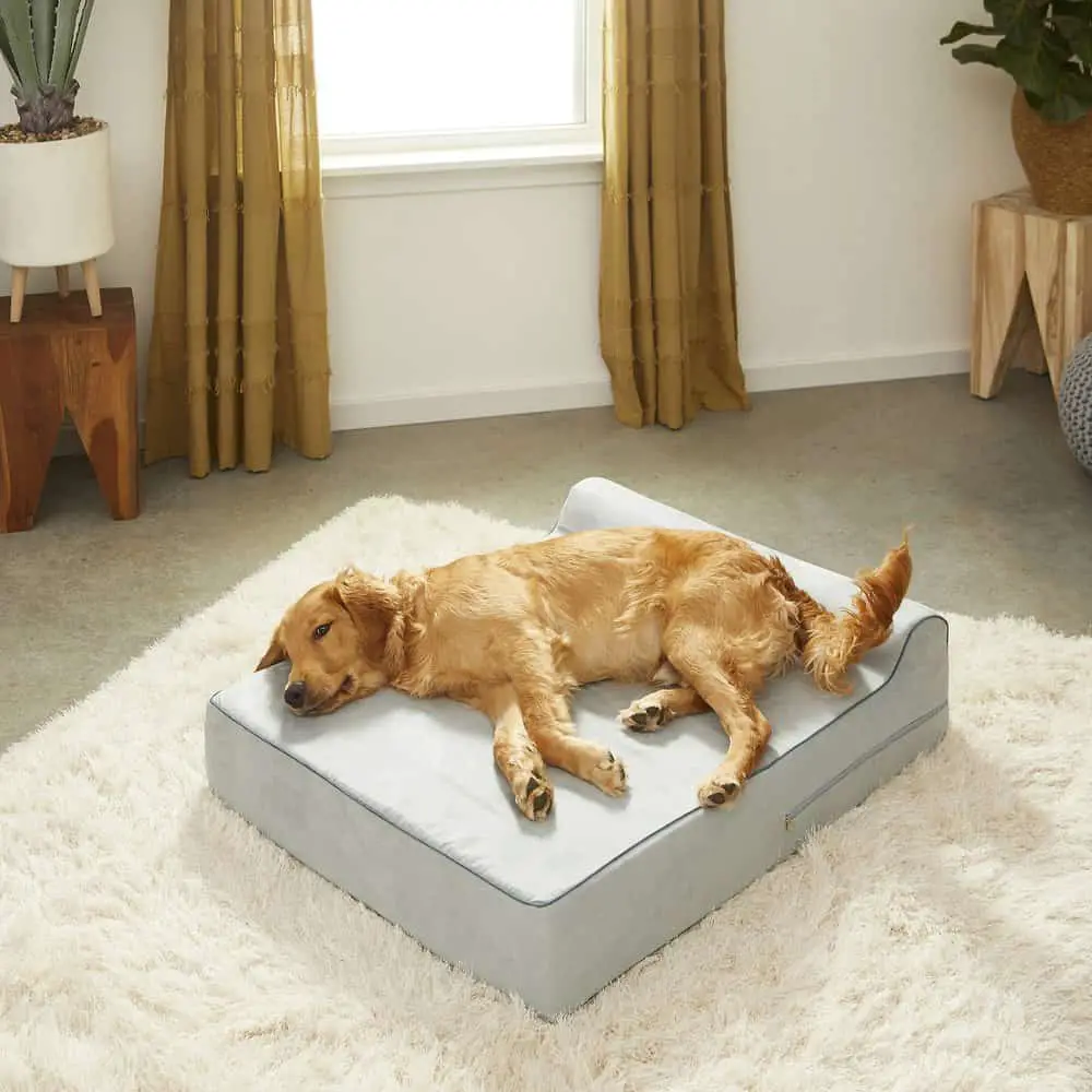 Orthopedic Pillow for Dogs With Removable Cover by Kopeks
