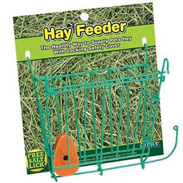 Guinea pig hay feeder