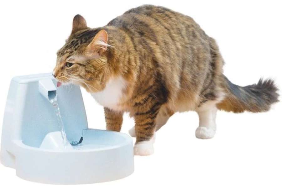 drinkwell original plastic dog cat fountain