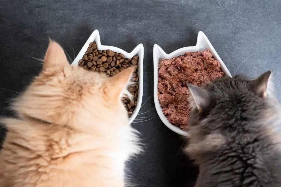 hairball formula cat food