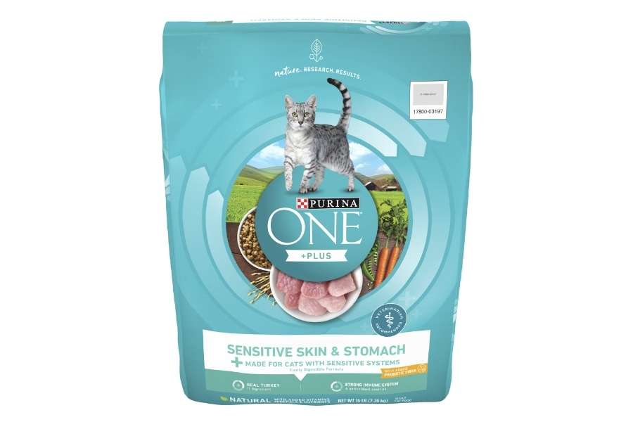 purina one sensitive skin & stomach dry cat food