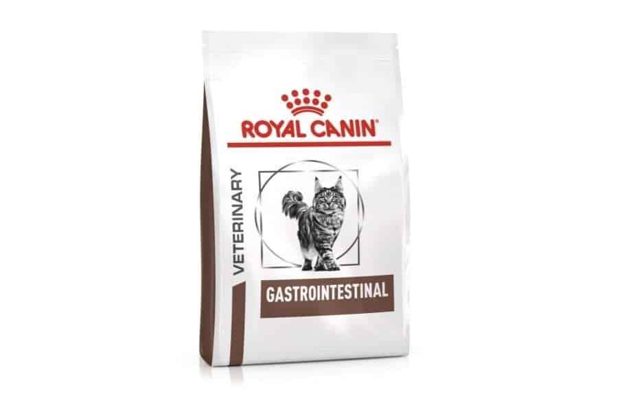 royal canin gastrointestinal dry cat food
