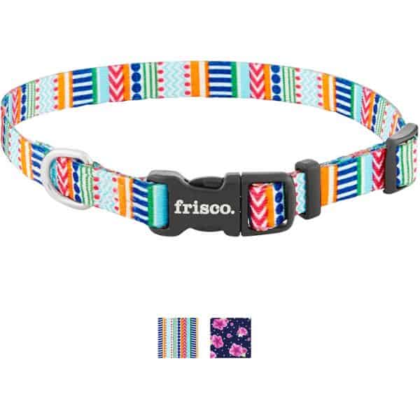 frisco patterned polyester dog collar