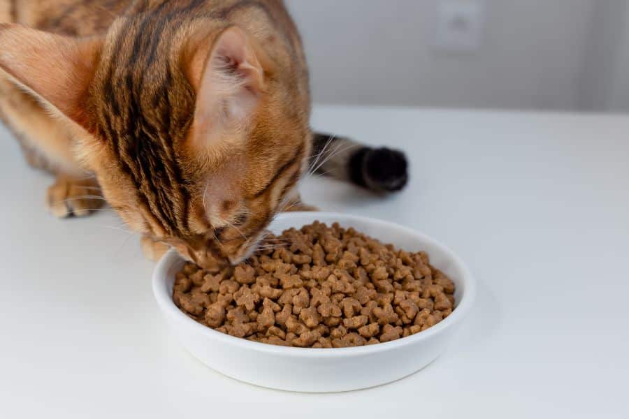 bad food for bengal cats
