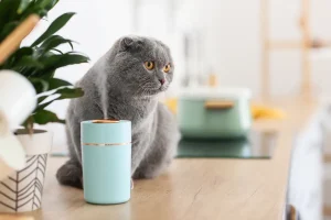 humidifiers for cats