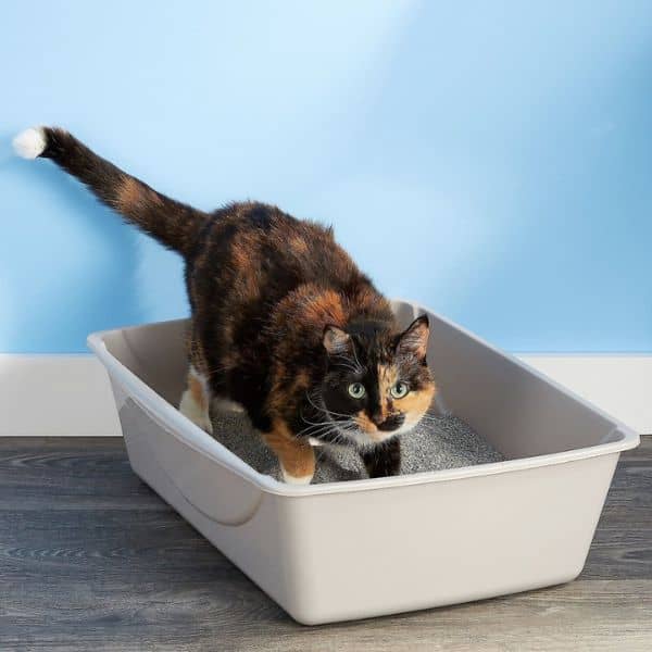 the petmate cat litter pan 