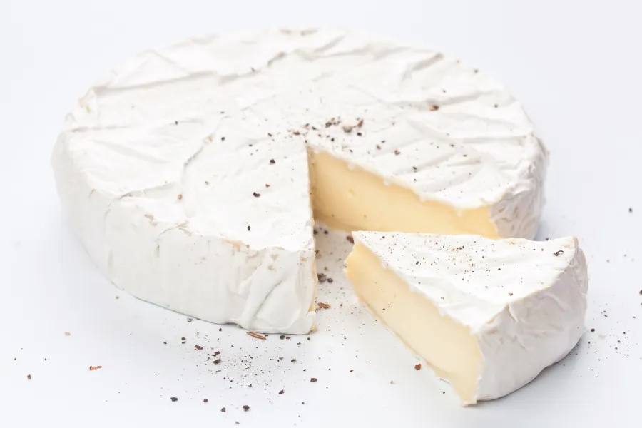 can dogs eat brie cheese