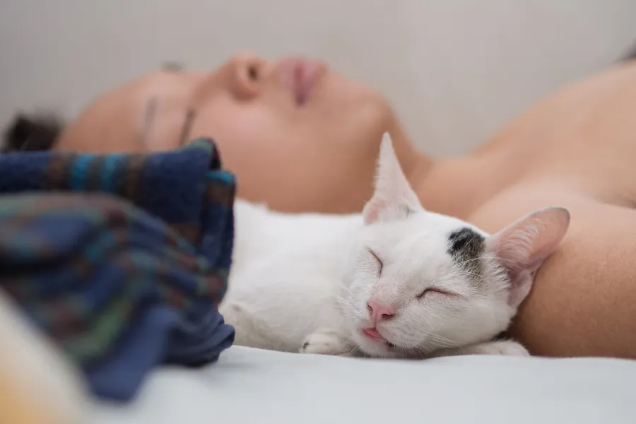 cat and her owner sleep