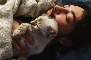 cat sleeps with you