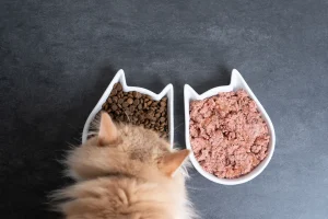 Mixing wet and dry cat food