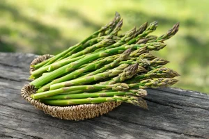 can cats eat asparagus