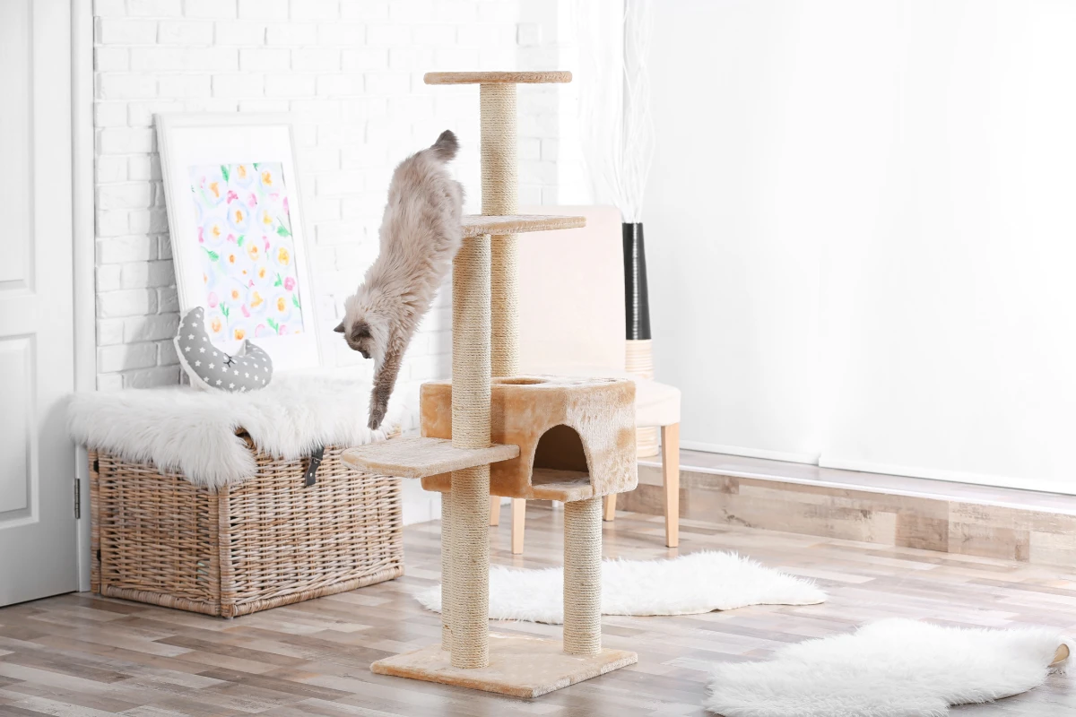 Senior Cat Tree The Best Investment For Your Older Cat