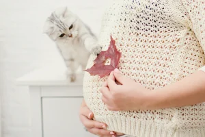 why do cats attack pregnant woman