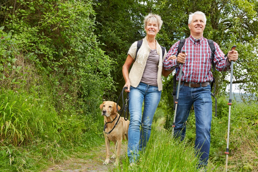 dog is hiking with old couple