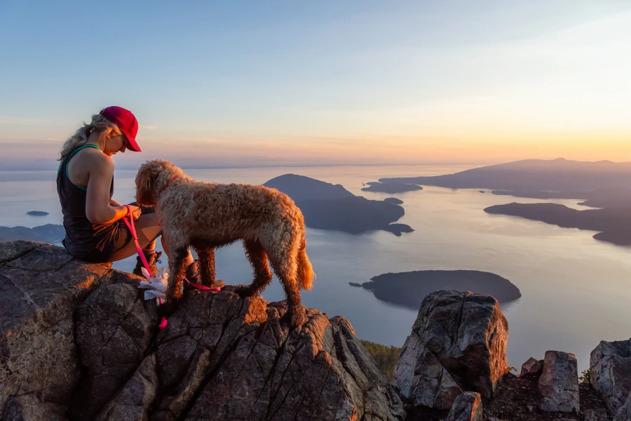 dog on mountain with his owner